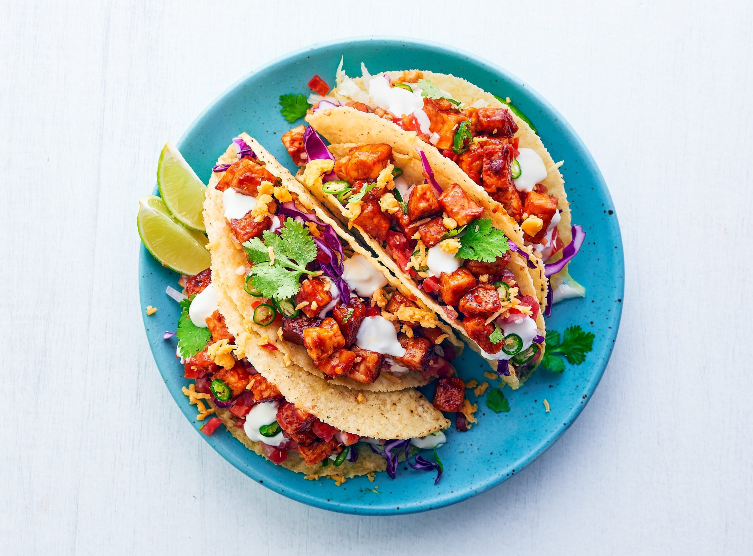 Ghee Roast and Taco Recipes Using Tempeh | FridayWall Magazine