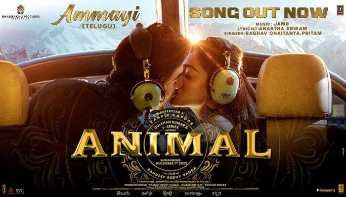 Animal 'Ammayi' song