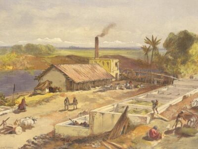 Indigo in Indian textiles and colonial history