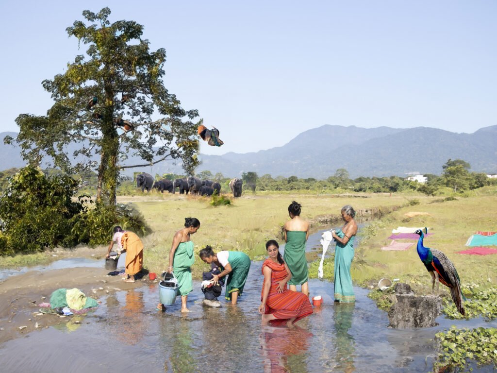 Artists in Hyderabad