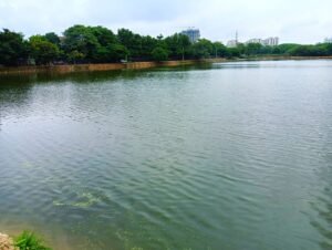 Restoration of Lake in Kondapur