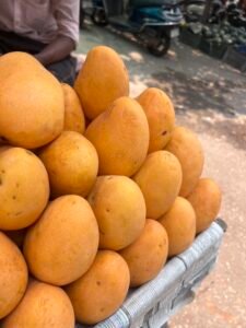 Banganapalli mangoes 2026