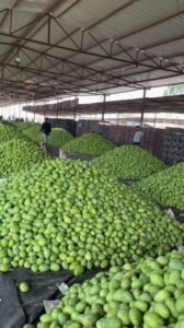Batasingaram, fruit market 
