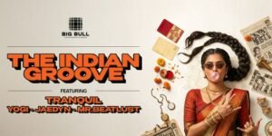 The Desi Indian Groove