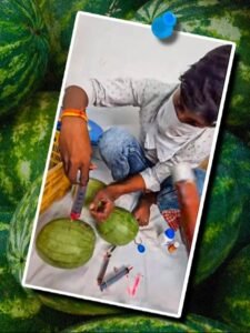 Carbide Chemicals Injected into the Watermelon 