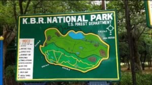 Save KBR Park 