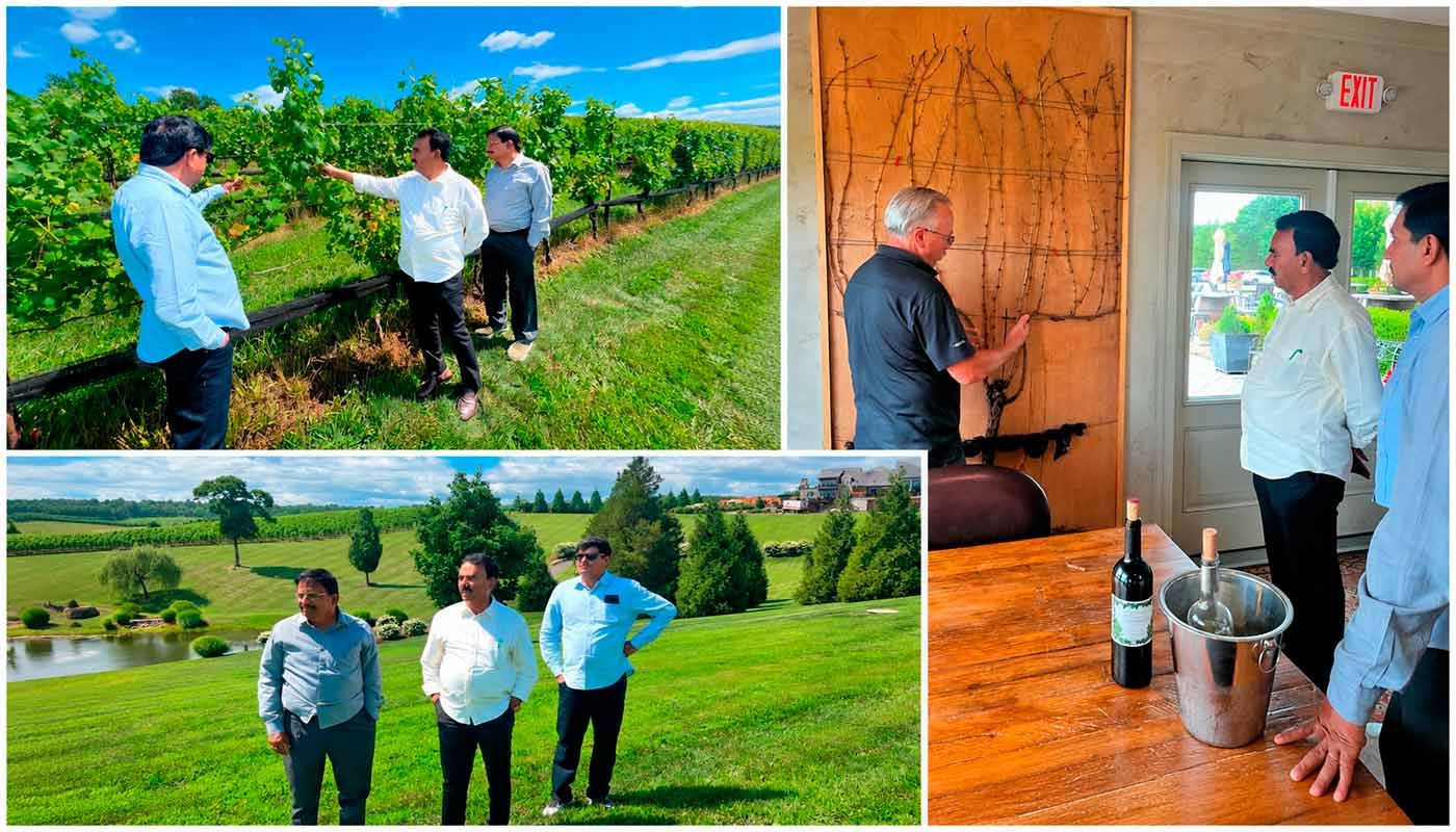 Jupally explores scope for wine tourism in Telangana during US winery visit