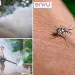 Weekly Building Checks Can Help Prevent Dengue in Hyderabad: Envu India Report