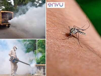 Weekly Building Checks Can Help Prevent Dengue in Hyderabad: Envu India Report